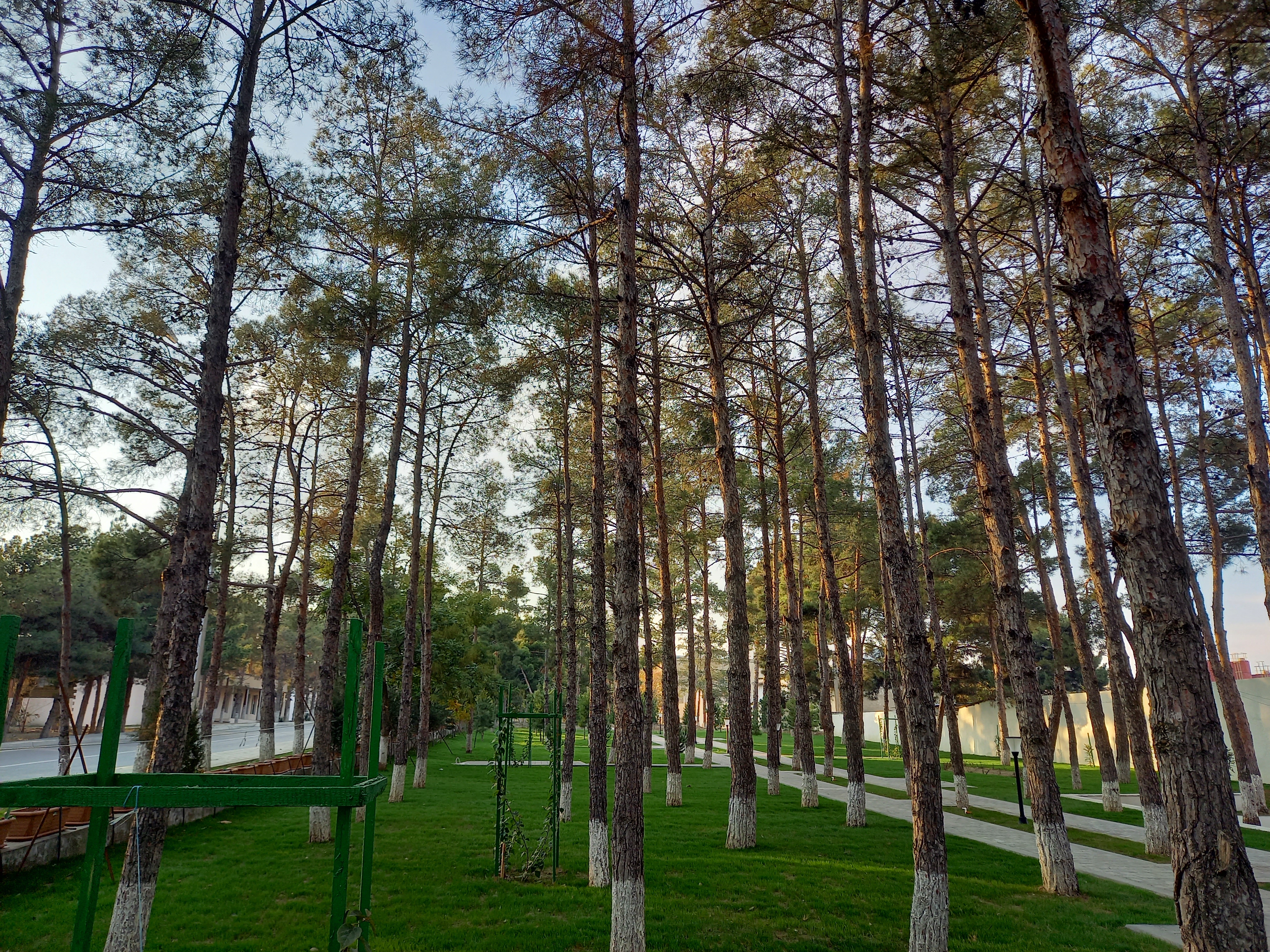 Park Naftalan